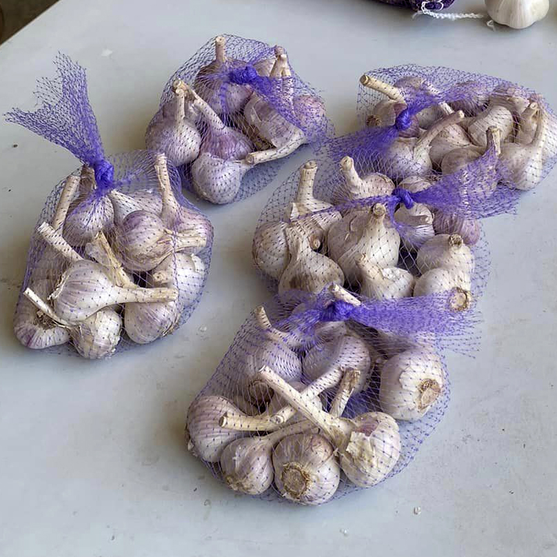bags of garlic