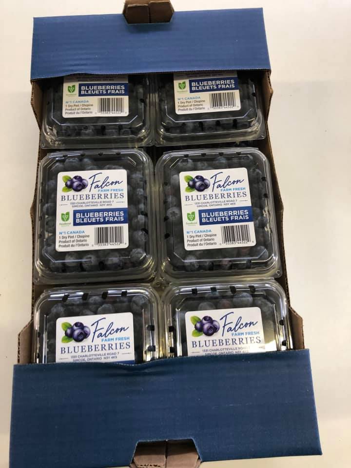 Falcon Blueberries packages