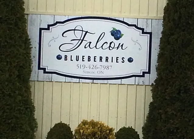 Falcon Blueberries Sign